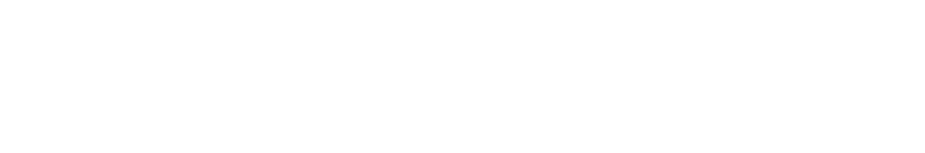 チアキャリアのロゴ