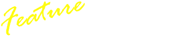 チアフェスの特長 02