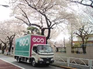 ピンクとグリーンの可愛らしいトラックが目印☆