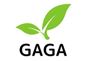 株式会社GAGA