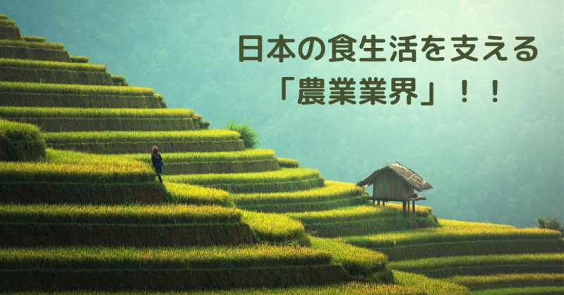 日本の食生活を支える「農業業界」！就活生にお勧め企業もご紹介！