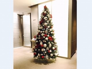 ★☆★クリスマスツリーが飾られました★☆★