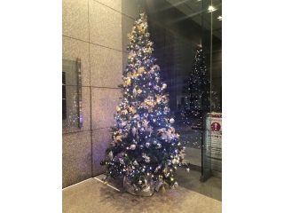 クリスマスモード Style株式会社のタイムライン ベンチャー 成長企業からスカウトが届く就活サイトcheercareer チアキャリア