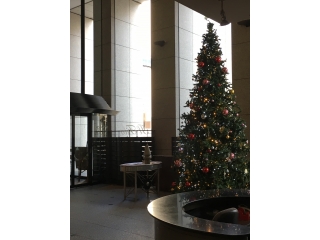 うちのビルにもクリスマスツリー 株式会社インサイド アウトのタイムライン ベンチャー 成長企業からスカウトが届く就活サイトcheercareer チアキャリア