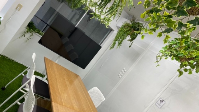 新オフィス紹介③　ミーティングブースはオアシスをイメージ！緑の多い癒し空間！