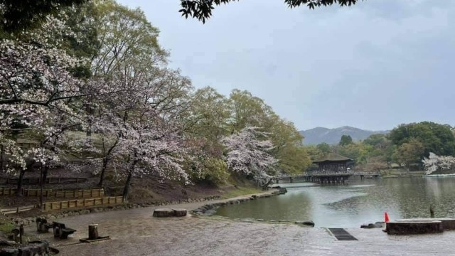 奈良公園　浮御堂