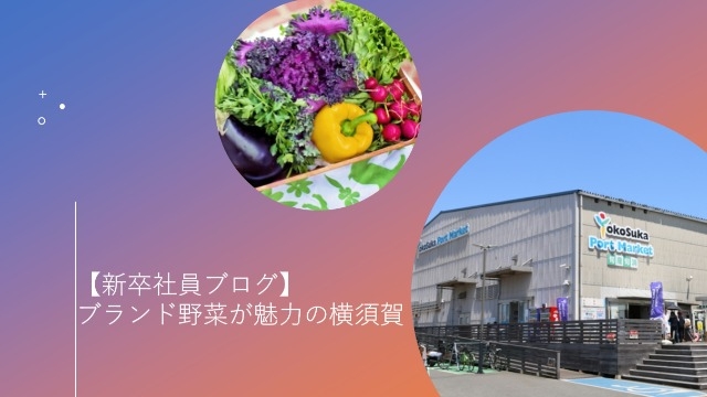 新卒社員ブログ【ブランド野菜が魅力の横須賀】
