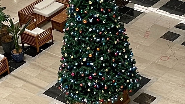 【壮大】どでかいクリスマスツリー