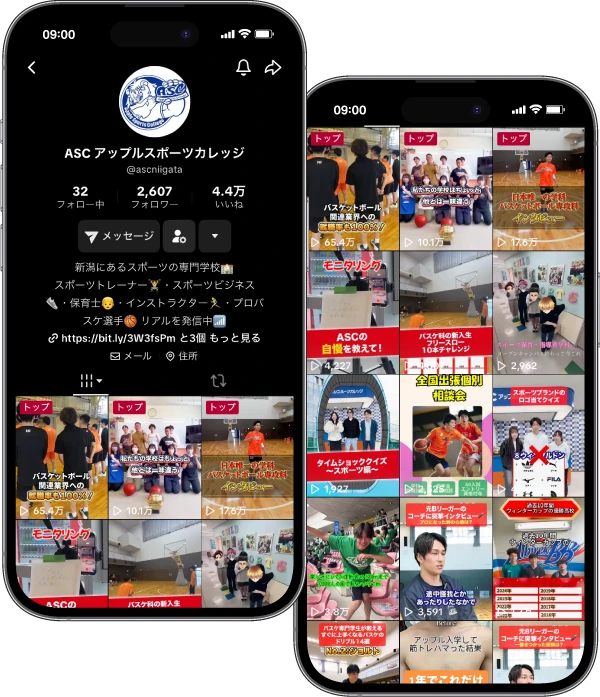 TikTok運用代行の実績