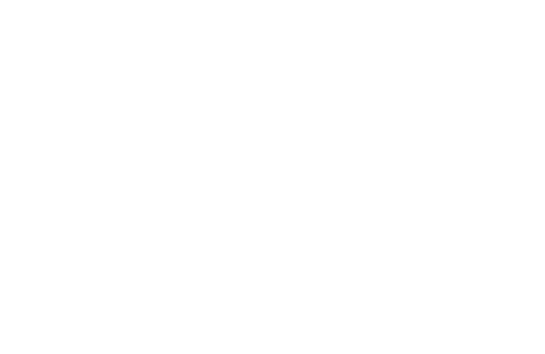 cheerrookie(チアルーキー)